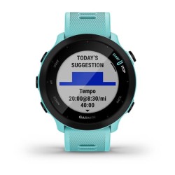 Garmin Forerunner 55 2.64...