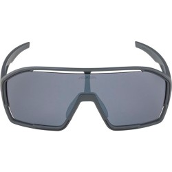 Alpina Bonifire Sunglasses...