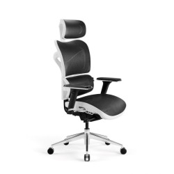 Diablo V-COMMANDER Office...