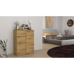 Topeshop 2D2S ARTISAN chest...