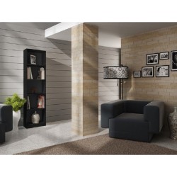 Topeshop R40 CZERŃ office...