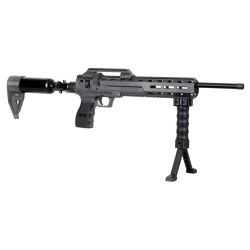 WEBLEY Nemesis X air rifle,...