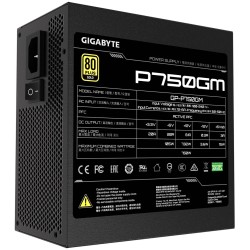 Gigabyte P750GM power...