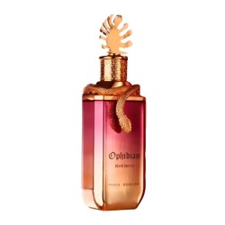Paris Corner Ophidian Eau...