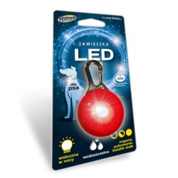 HILTON led dog tag - 5.3 x...