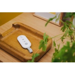 Yale Keyfob