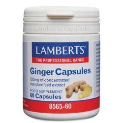 Lamberts Ginger Extracto...
