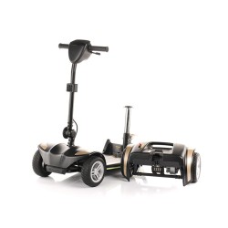 Folding electric scooter...