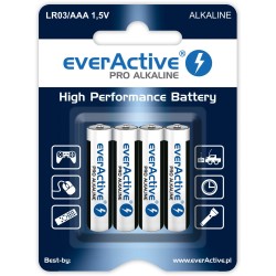 Alkaline batteries AAA /...