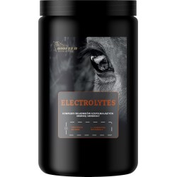 BIOFEED Horse&Pony Electrolytes - electrolytes for horses - 900g