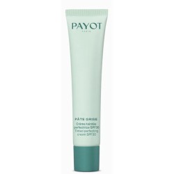 Payot Pâte Grise Tinted...