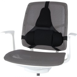 Fellowes Ergonomics...