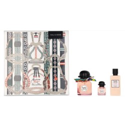Hermès Hermes Twilly...