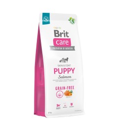 Dry food for puppies and...
