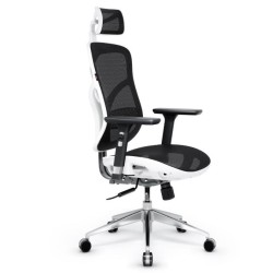 Diablo V-BASIC gaming chair...