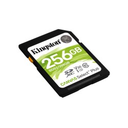 Kingston Technology 256GB...