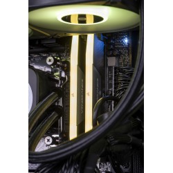 Actina 5901443329466 PC...