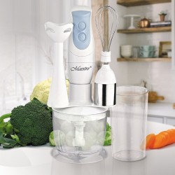 Feel-Maestro MR563 blender...