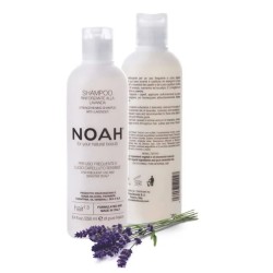 Noah Lavanda Champu...