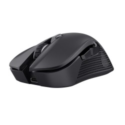 MOUSE USB OPTICAL WRL...