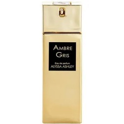 Alyssa Ashley Ambre Gris...