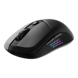 MOUSE USB OPTICAL WRL...
