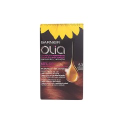 Garnier Olia Permanent...