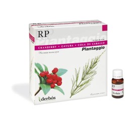 Dherbos Plantaggio Rp 20...