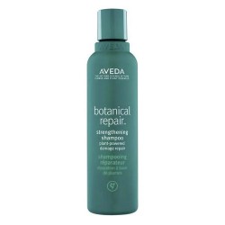 Aveda Botanical Repair...