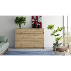 Topeshop 3D3S ARTISAN chest...
