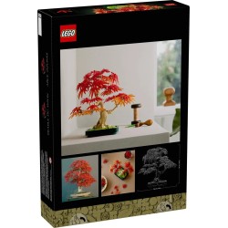 LEGO BOTANICALS 10348...