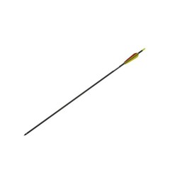 Carbon Fiber Arrow 30"...