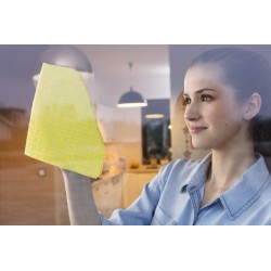 Cleaning Cloth Vileda...