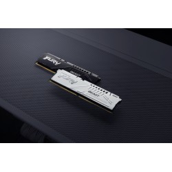 Kingston Technology FURY...