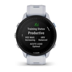 Garmin Forerunner 955 3.3...