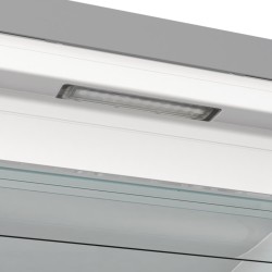 Gorenje FN619EAXL6 freezer...