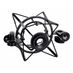 RØDE SM6 microphone...