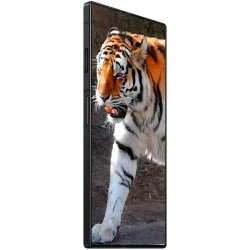 REDMAGIC 8S Pro 5G 12/256GB...