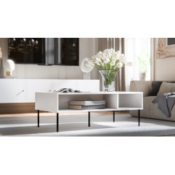 PALAZZO BIS table/latrine...