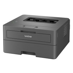 Brother HL-L2402D laser...