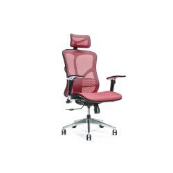 Ergonomic office chair ERGO...