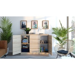 Topeshop 2D4S SONOMA chest...