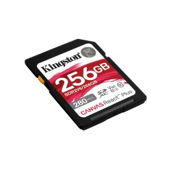 Kingston Technology 256GB...