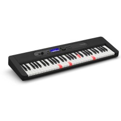 Casio LK-S450 synthesizer...