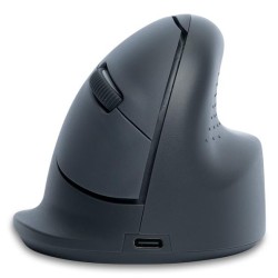 MOUSE USB OPTICAL WRL...