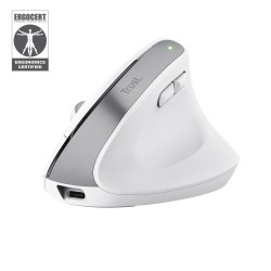 MOUSE USB OPTICAL WRL...