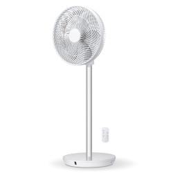 FAN STANDING...