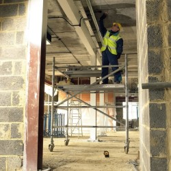 DeWALT DW0822-XJ laser...