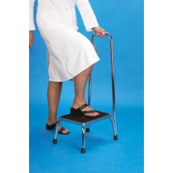 Step with handrail - bath step