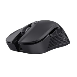 MOUSE USB OPTICAL WRL...